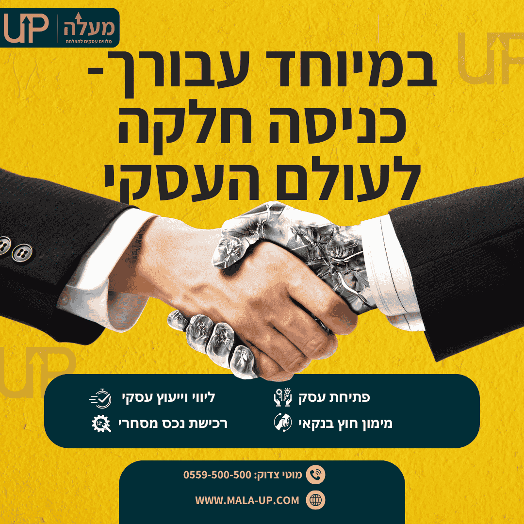 ליווי